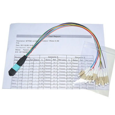 Dây nối sợi MPO 12 lõi 0,9mm tùy chỉnh Singlemode 1M Fanout